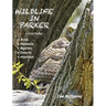 Wildlife In Parker: Colorado
