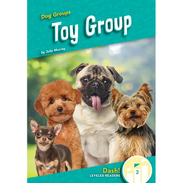 Toy Group
