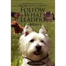 Follow What Leader?: A Logical Look at the Lessons of Leadership