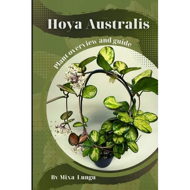 Hoya Australis: Plant overview and guide