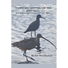 Close Encounters of the Bird Kind: Wild Birds in San Francisco and Other Places