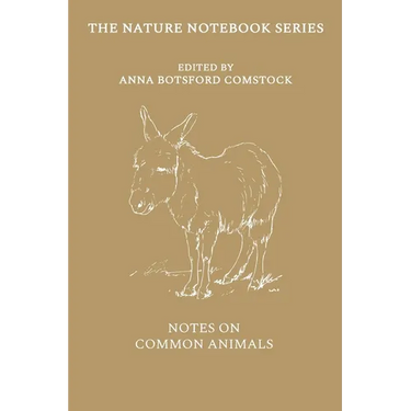 Notes on Common Animals
