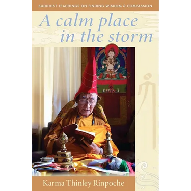 A Calm Place in the Storm: Buddhist Teachings on Finding Wisdom and Compassion