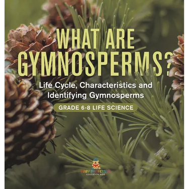What are Gymnosperms? Life Cycle, Characteristics and Identifying Gymnosperms Grade 6-8 Life Science