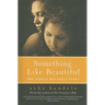 Something Like Beautiful: One Single Mother's Story