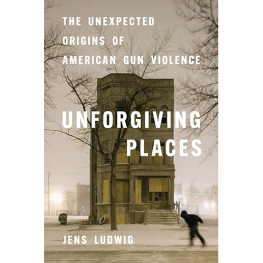 Unforgiving Places: The Unexpected Origins of American Gun Violence