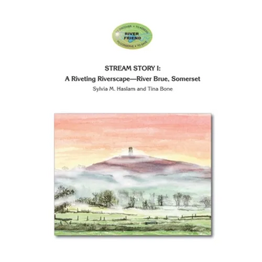 Stream Story I: A Riveting Riverscape-River Brue, Somerset: River Friend Series Book 2