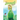 The Dandelion Queen