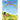God, Dogs, and Rainbows
