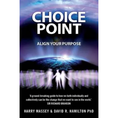Choice Point: How to Master the Matrix. Harry Massey with Sasha Allenby