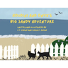 Houdini and Onyx's Big Sandy Adventure