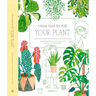 How Not to Kill Your Plant