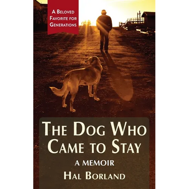 The Dog Who Came to Stay: A Memoir