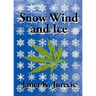 Snow Wind and Ice