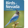 Birds of Nevada Field Guide
