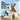 The Worried Little Goat