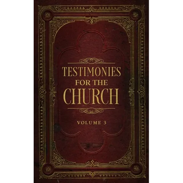 Testimonies for the Church Volume 3
