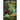 Attuned Dungeon