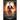 Essential Magic