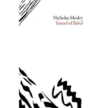 The Tunnel of Babel