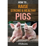 How To Raise Strong & Healthy Pigs: Quick Start Guide