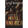 A Perfect America