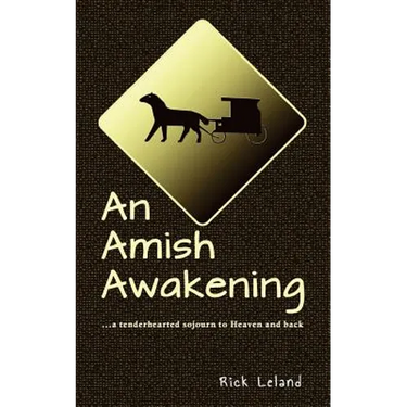 An Amish Awakening: a tenderhearted sojourn to Heaven and back