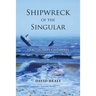 Shipwreck of the Singular: Healthcare's Castaways