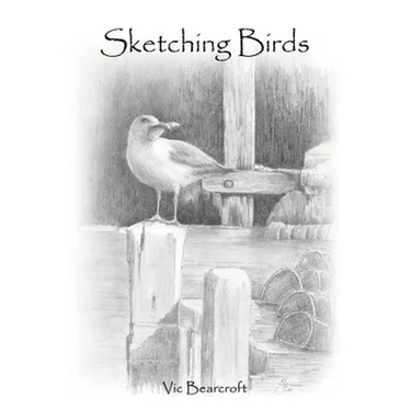 Sketching Birds