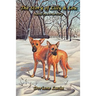 The Story of Lilly & Lou: Based on a True Story