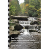 Day Hiking the Daniel Boone National Forest