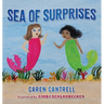Sea of Surprises