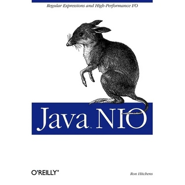 Java NIO: Regular Expressions and High-Performance I/O