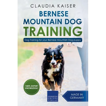 Bernese Mountain Dog Training: Dog Training for Your Bernese Mountain Puppy