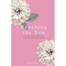 Reaching the Sun