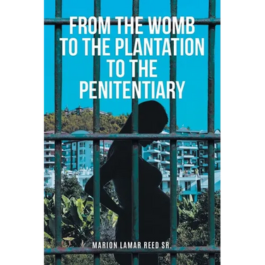 From the Womb to the Plantation to the Penitentiary