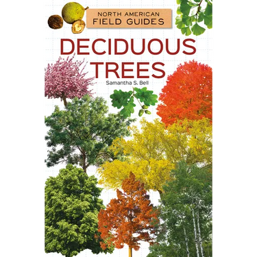 Deciduous Trees
