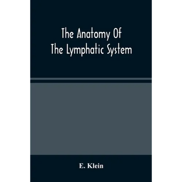 The Anatomy Of The Lymphatic System