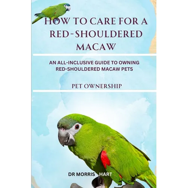 How to Care for a Red-Shouldered Macaw: An All-Inclusive Guide to Owning Red-Shouldered Macaw Pets