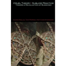 Cruel Theory - Sublime Practice: Toward a Revaluation of Buddhism