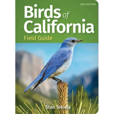 Birds of California Field Guide