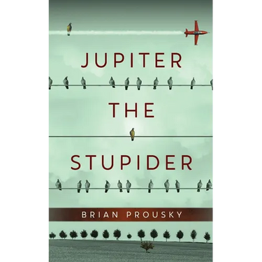 Jupiter the Stupider