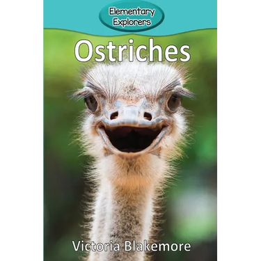 Ostriches