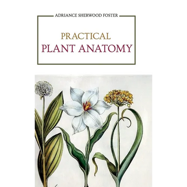 Practical Plant Anatomy