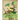 Victorian Garden: Greyscale Colouring Book 2