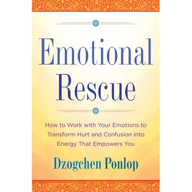 Emotional Rescue: How to Work with Your Emotions to Transform Hurt and Confusion into Energy That Empowers You