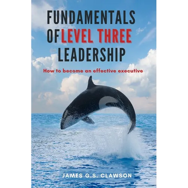 Fundamentals of Level Three Leadership: How to Become an Effective Executive