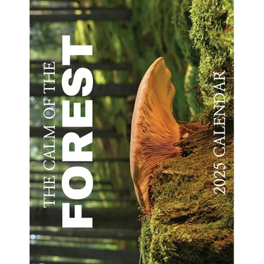 The Calm of the Forest 2025 Calendar