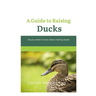 A Guide to Raising Ducks: All you need to know about rearing duck