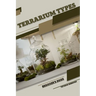 Terrarium Types: Beginner's Guide